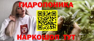 прущие крисы Нальчик